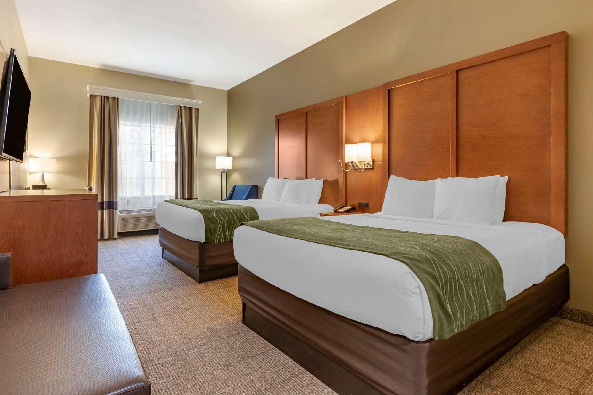 Comfort Inn & Suites Orangeburg Room photo